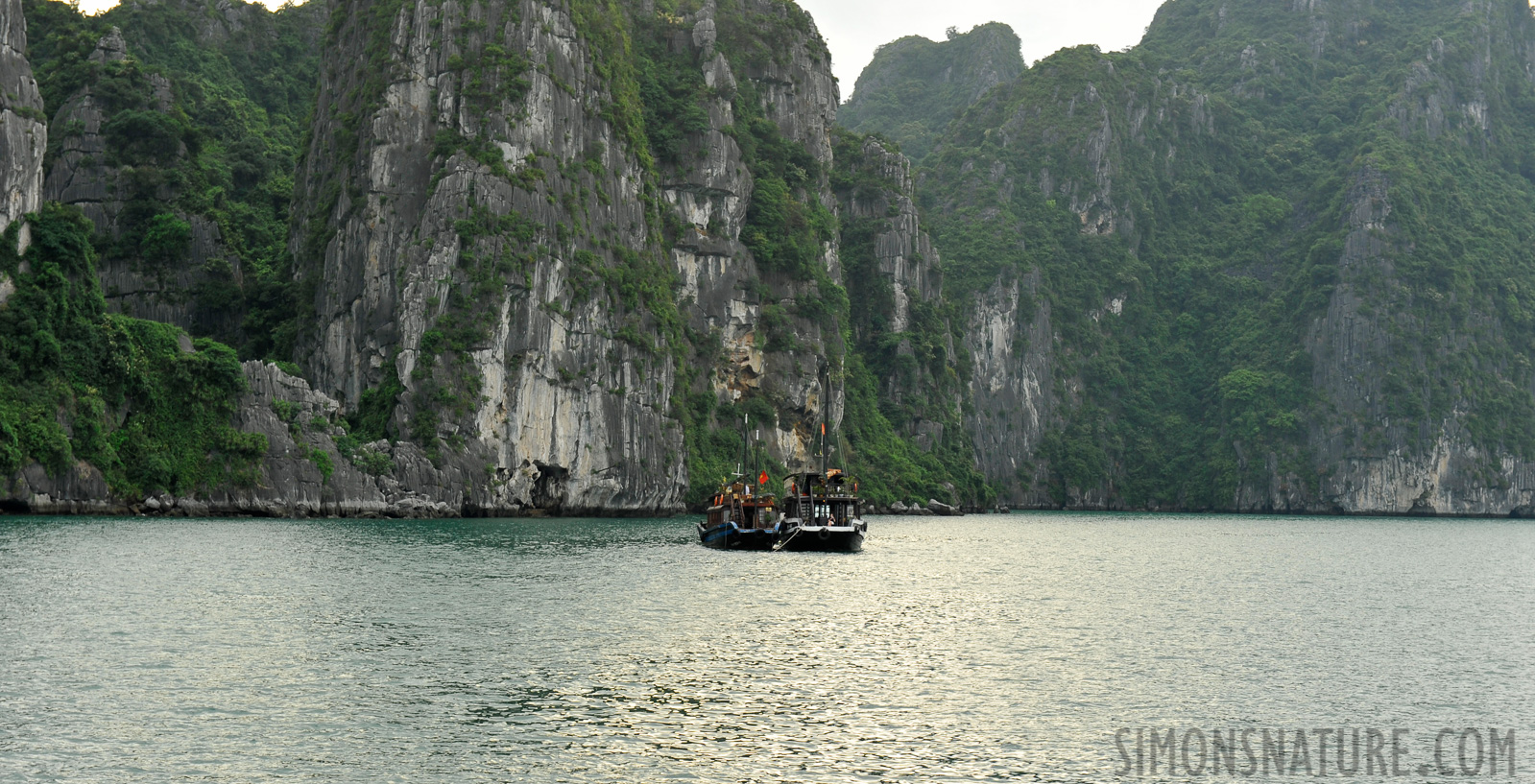 Vietnam [70 mm, 1/60 sec at f / 8.0, ISO 400]